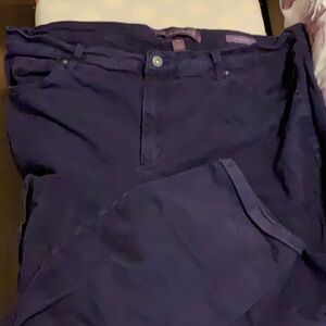 Gloria Vanderbilt Amanda brushed denim dark purple jeans. 20W